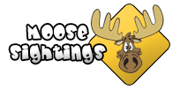 Moose Sightings Media Gallery